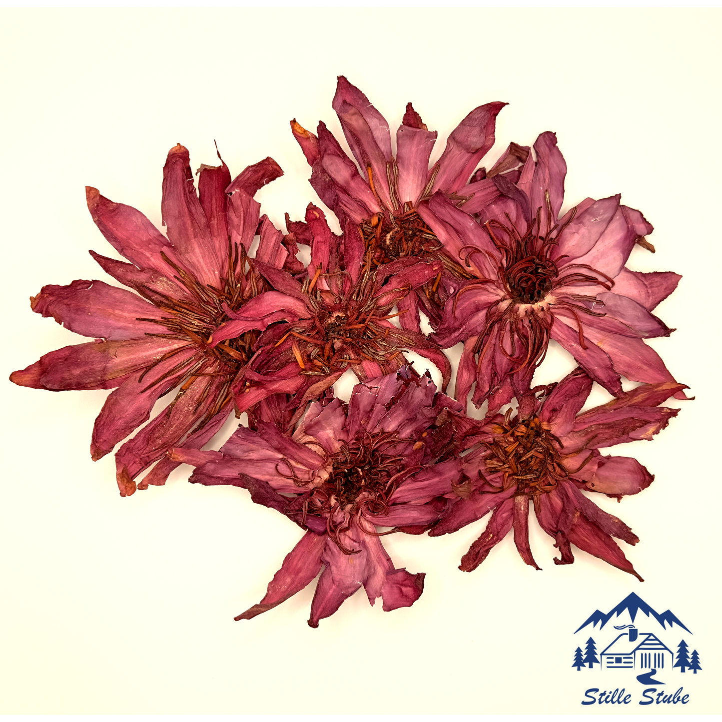 Roter Lotus